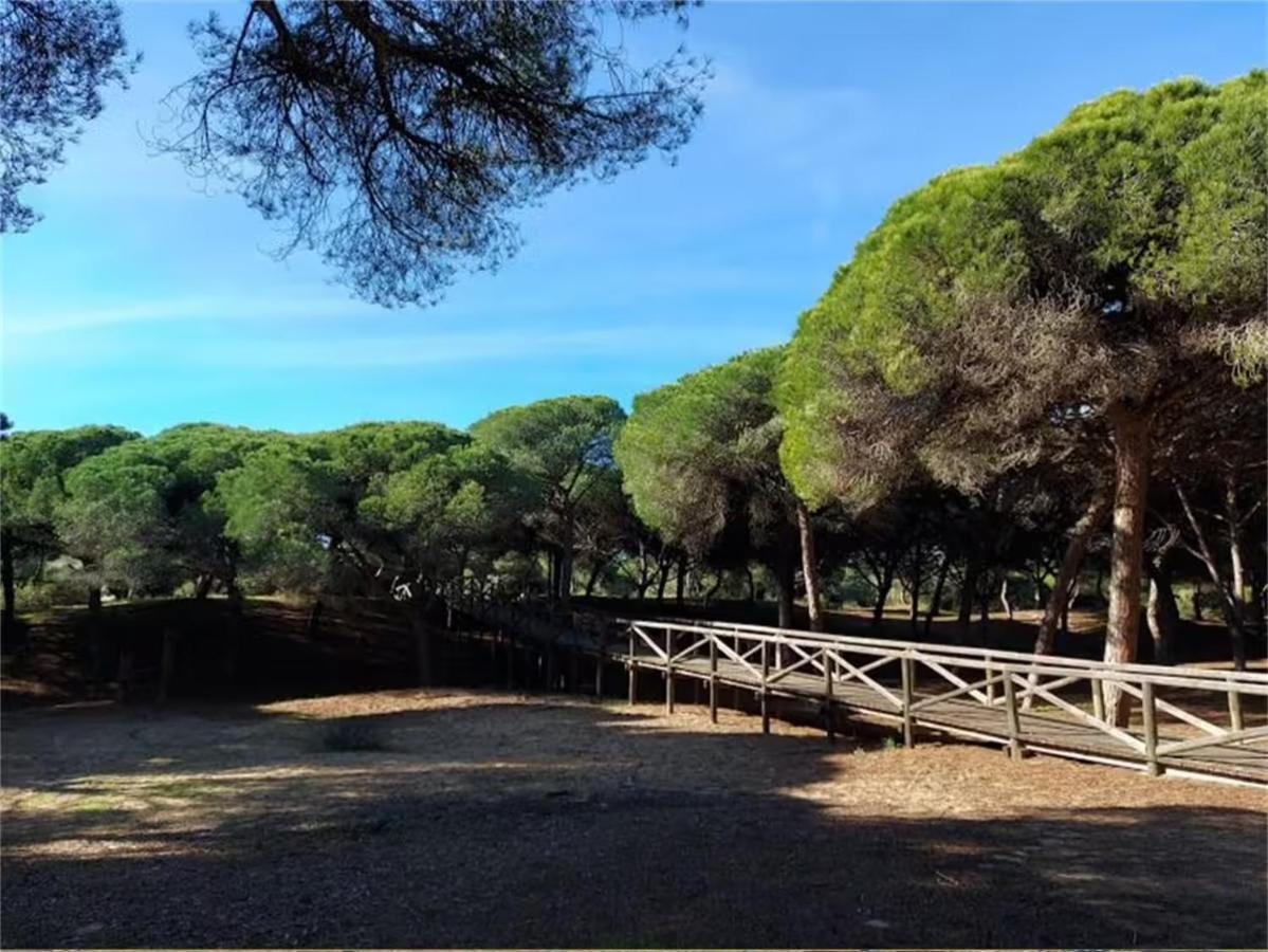 Rota Punta Candor Terrace Playa 3 Bajo C Εξωτερικό φωτογραφία
